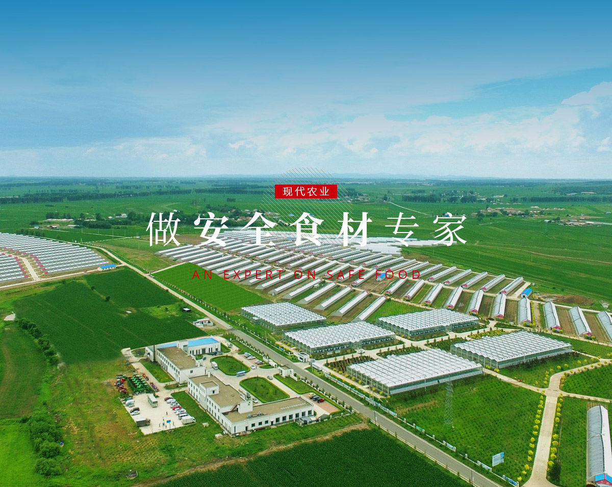 itb8888通博(中国区)官方网站