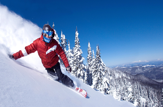 itb8888通博(中国区)官方网站